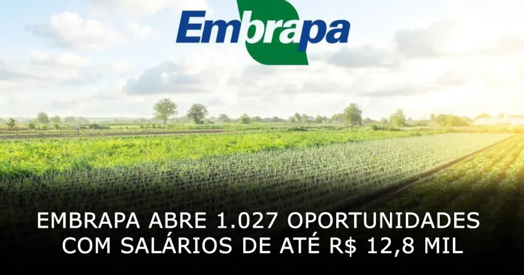 Embrapa abre 1027 oportunidades