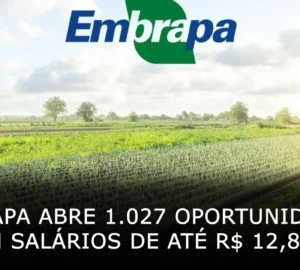 Embrapa abre 1027 oportunidades