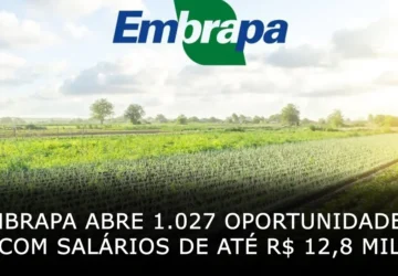 Embrapa abre 1027 oportunidades