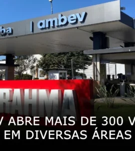 Ambev abre mais de 300 vagas em diversas áreas