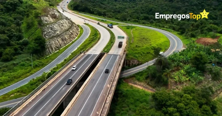 Feirão de Empregos Nova 381 disponibiliza diversas oportunidades em BH e outras localidades de Minas Gerais
